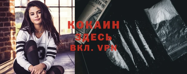apvp Богданович