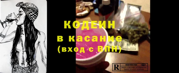 молекула духа Богородицк