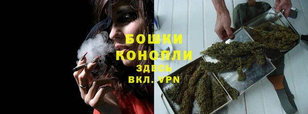 молекула духа Богородицк