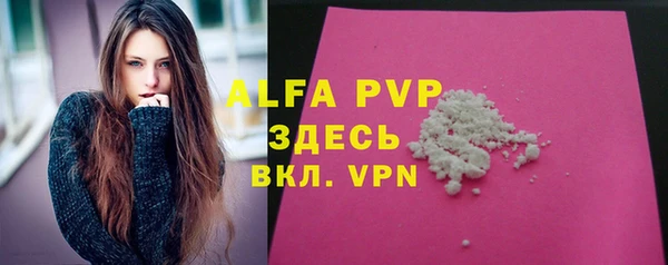молекула духа Богородицк