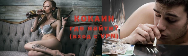 молекула духа Богородицк