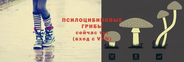 apvp Богданович