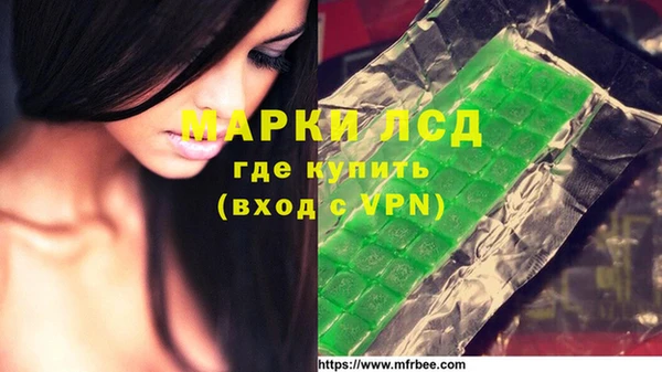 молекула духа Богородицк