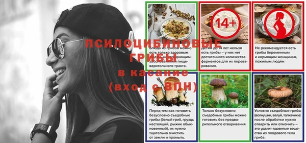 apvp Богданович