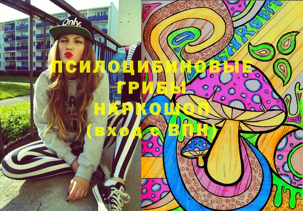 apvp Богданович