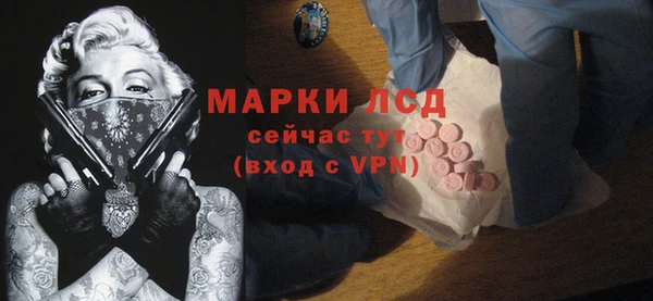 молекула духа Богородицк