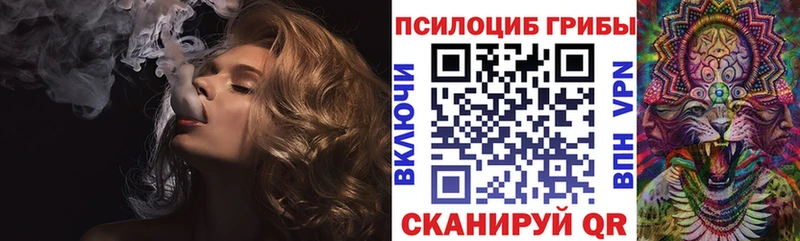 Галлюциногенные грибы Psilocybe  Макаров 